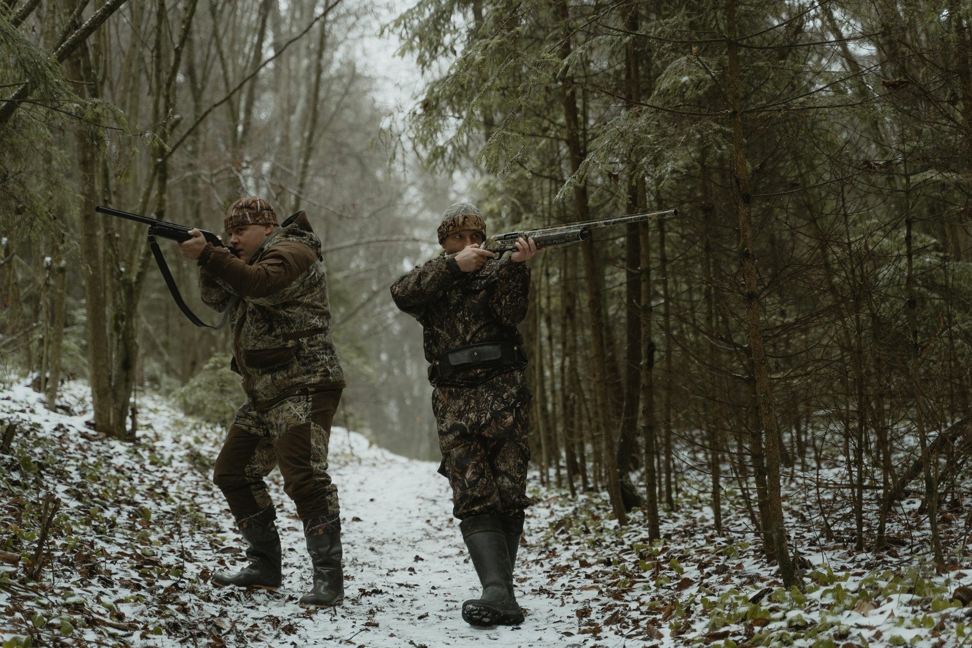 CHASSE : ARRÊTÉ PRÉFECTORAL
