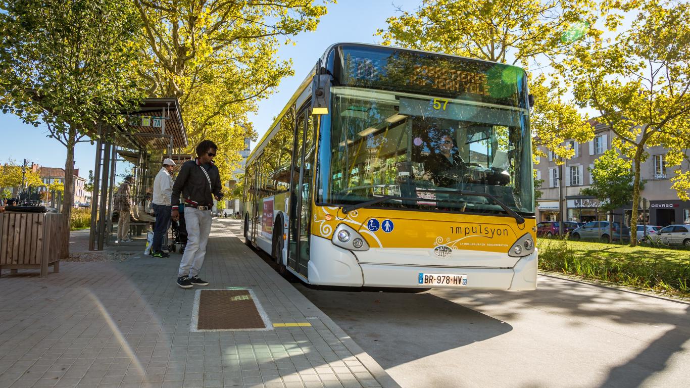 bus