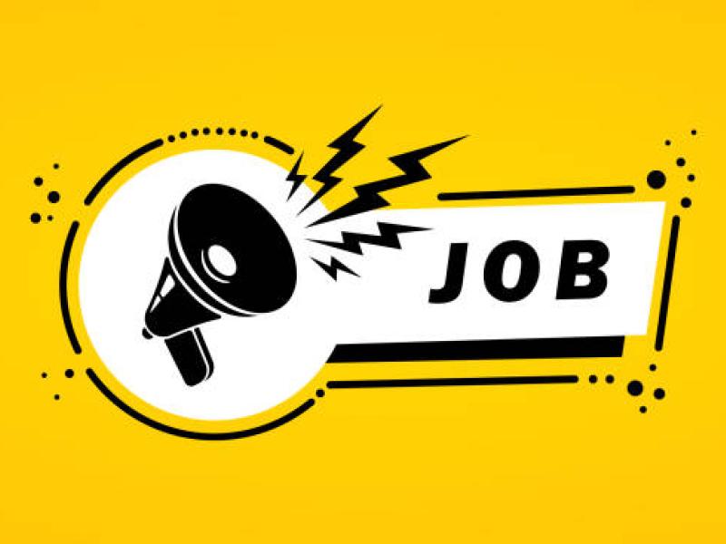 OFFRE D'EMPLOI