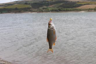 ARRÊTÉ PRÉFECTORAL PORTANT INSTITUTION DE RÉSERVES TEMPORAIRES DE PÊCHE